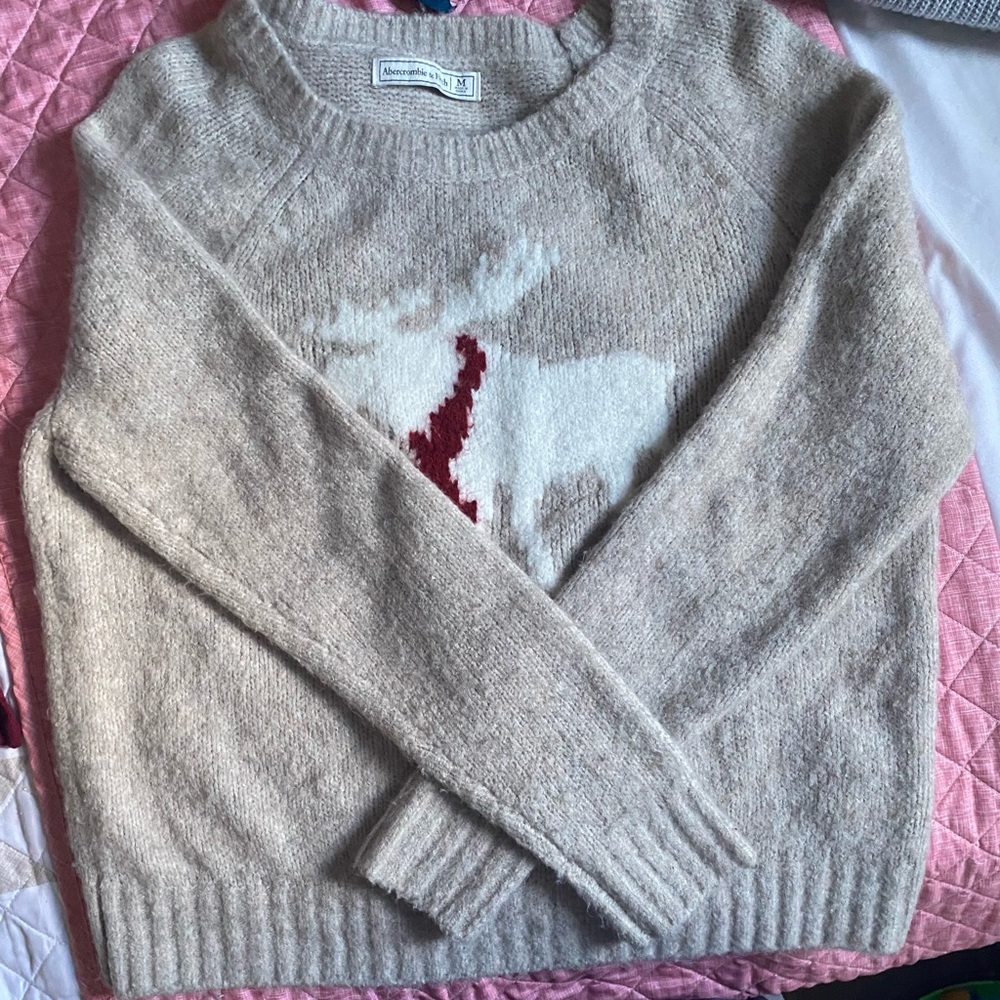 Abercrombie and Fitch Christmas sweater size:M